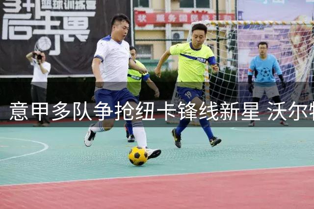 意甲多队争抢纽卡锋线新星 沃尔特马德或外租锻炼