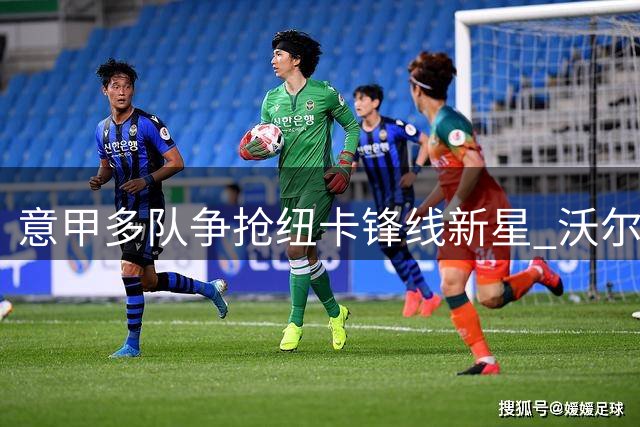 意甲多队争抢纽卡锋线新星 沃尔特马德或外租锻炼